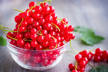 Organic red currants in a white glass bowl on a gray background.