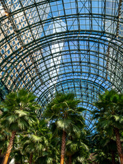 Fototapeta na wymiar palm trees inside a mall in downtown Manhattan