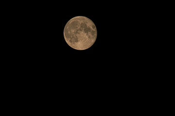 Fototapeta premium The full moon moves through the night sky