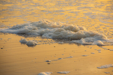 Take a Walk in the Sea Air