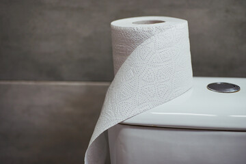 Toilet paper is on the toilet lid in the bathroom.