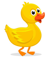 Yellow duckling is walking on a white background