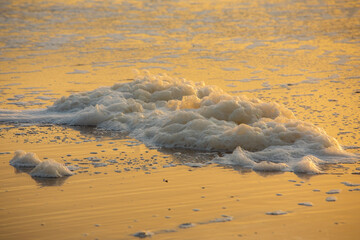 Take a Walk in the Sea Air