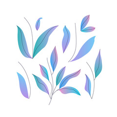 Vector set of different leaves, floral elements with trendy gradient and minimalistic lines.