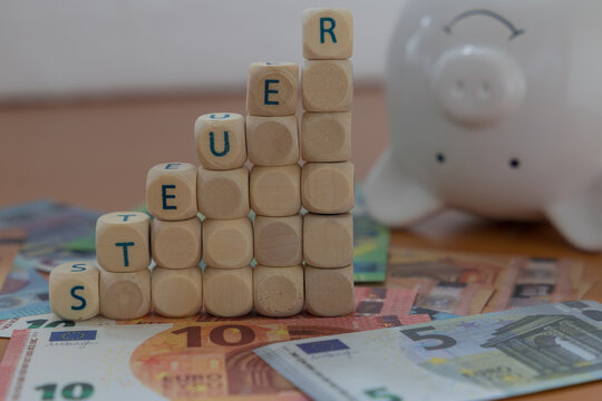 german word for tax with a piggy bank and Euro banknotes