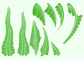 set of decorative elements for design