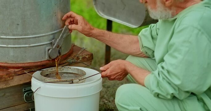 Beekeeper turns the handle of the honey extractor and a stream of honey flows. Beekeeper pumps honey in the apiary, an environmentally friendly product. 4k, 10bit, ProRes