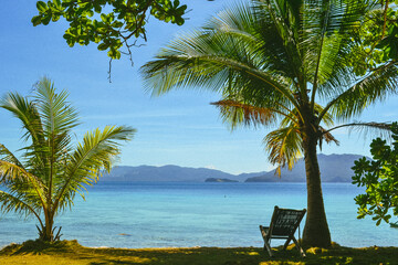 tropical beach with palm trees