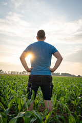 Ackerbau - Landwirt steht im Gegenlicht der untergehenden Sonne im jungen Maisbestand.