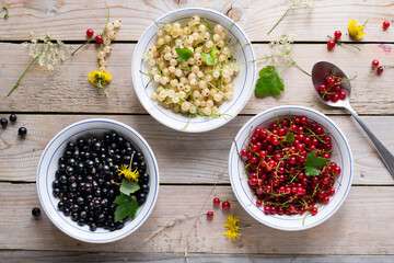 Red, white and black currant in bowls on wooden table