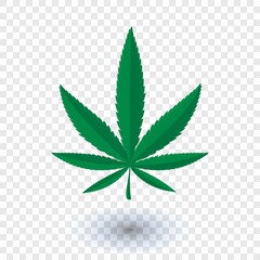 Cannabis marijuana leaf.marijuana leaf.cannabis leaf on transparent background drawing by illustration