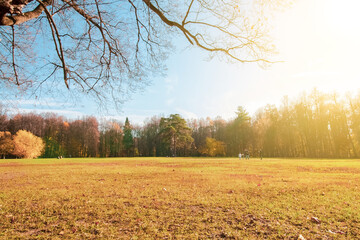 Amazing panoramic autumn scenery in a park with the sun warmly illumining a field. Beautiful colorful trees and sunlight
