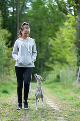 junge Frau geht im Frühling mit Hund im Wald spazieren - Whippet, Windhund 3 Jahre alt