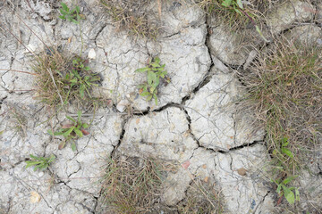 ausgetrockneter, aufgerissener Bodem, Bodenerosion, Klimaerwärmung
