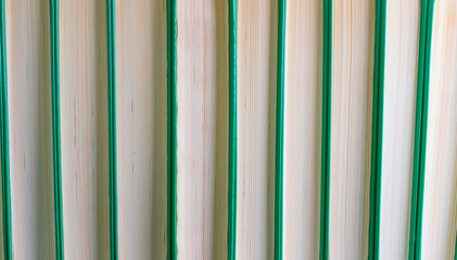 Obraz premium Books standing in a row one after another