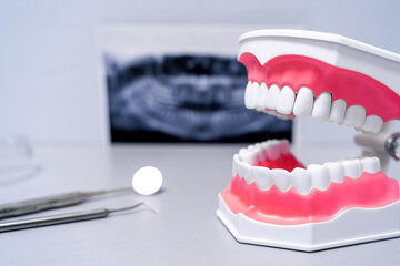 Fototapeta na wymiar Educational teeth model and dentist mirror instrument. X-ray in the background.