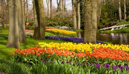 Fototapeta premium A botanical garden near Lisse, Netherlands