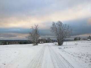 winter road in the snow