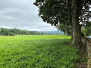 A vast tree lined meadow, next to the roadside, with fields and hills in the far distance near, Skipton, Yorkshire, UK
