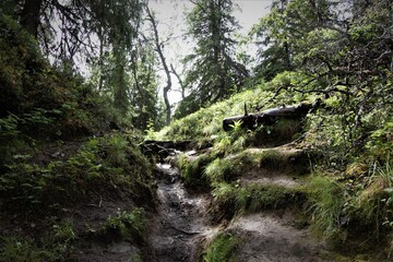 Path