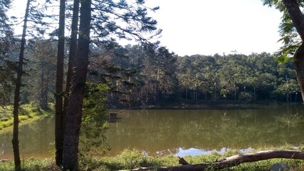 lake in the woods