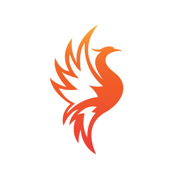 Phoenix Logoshape