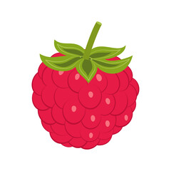 raspberry isolated on white background, vector illustration