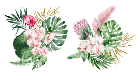 watercolor illustration of tropical leaves, branche, fern and pink flowers.  Botanical watercolor illustrations, floral elements, roses, protea, orchid and calla lilies - 367021932