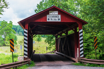 wooden bridge in the forest