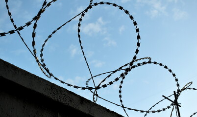 Protective barbed wire with sharp teeth on the fence