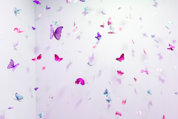 colorful artificial butterflies on a white background