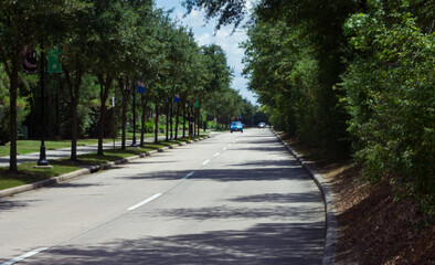 Obraz premium A tree lined roadway facing oncoming traffic in the Woodlands, TX.