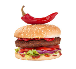 Tasty american grill burger isolated on the white