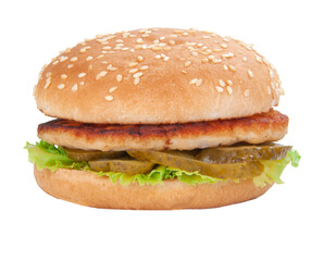 Tasty american grill burger isolated on the white