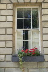 Fototapeta na wymiar A Georgian style house window in Bath, Somerset, is decorated with red flowers