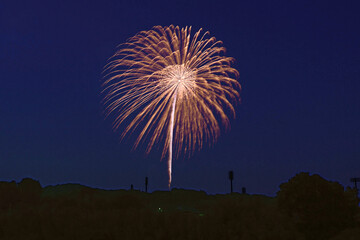 いせはら芸術花火大会「メッセージ花火」