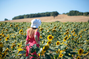 Young pretty woman in straw hat and white summer shirt posing at the sunflower's field. 