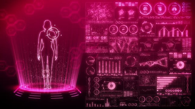 Woman virtual body. Human medical hologram animation. Graph, Diagram, Infographic. Medicine and health care concept. User Interface. High tech future loop animation.