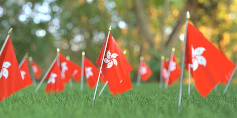 Flags of Hong Kong in the grass. National holiday related 3D rendering