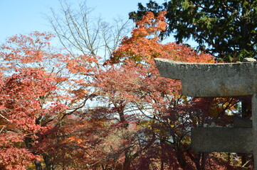 紅葉の京都
