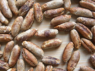 Brown color raw dried seed of Date fruit