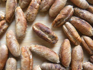 Brown color raw dried seed of Date fruit