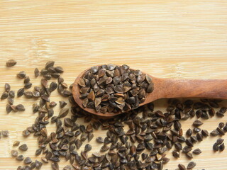 Brown color raw whole Buckwheat grains or Fagopyrum esculentum on wooden spoon