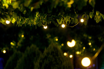 illumination backyard light garden with electric garland bulb of warm light bulbs, dark illuminate night scene of outdoor park nobody.