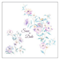 Watercolor flower illustration, combination of elements