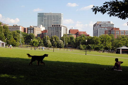 Descansando en el parque con el prerro