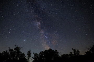 forest silhouette on a sky with milky way, night outdoor scene