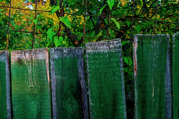 An old fence in the countryside with broken pickets. Selective focus. Abandoned countryside. Concept with old broken fence at pasture. Nature background in vintage style