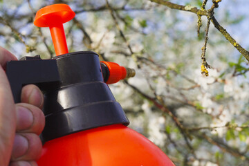 Naklejka premium gardener with spraying a blooming fruit tree against plant diseases and pests. Use hand sprayer with pesticides in the garden.