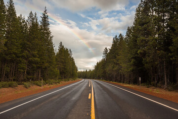 Fototapeta na wymiar Forest highway going into the distance and a rainbow in the sky after rain